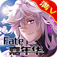 fate嘉年华测试服