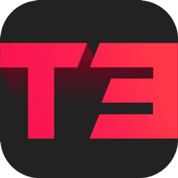 t3满v版
